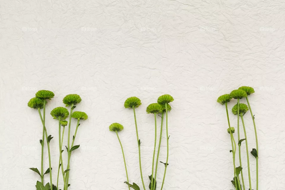 Green Flower