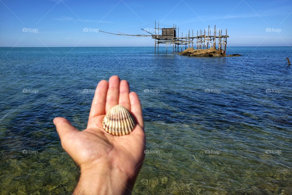 Man holds a seashell in his hand and in the background you can see an overflow on the sea