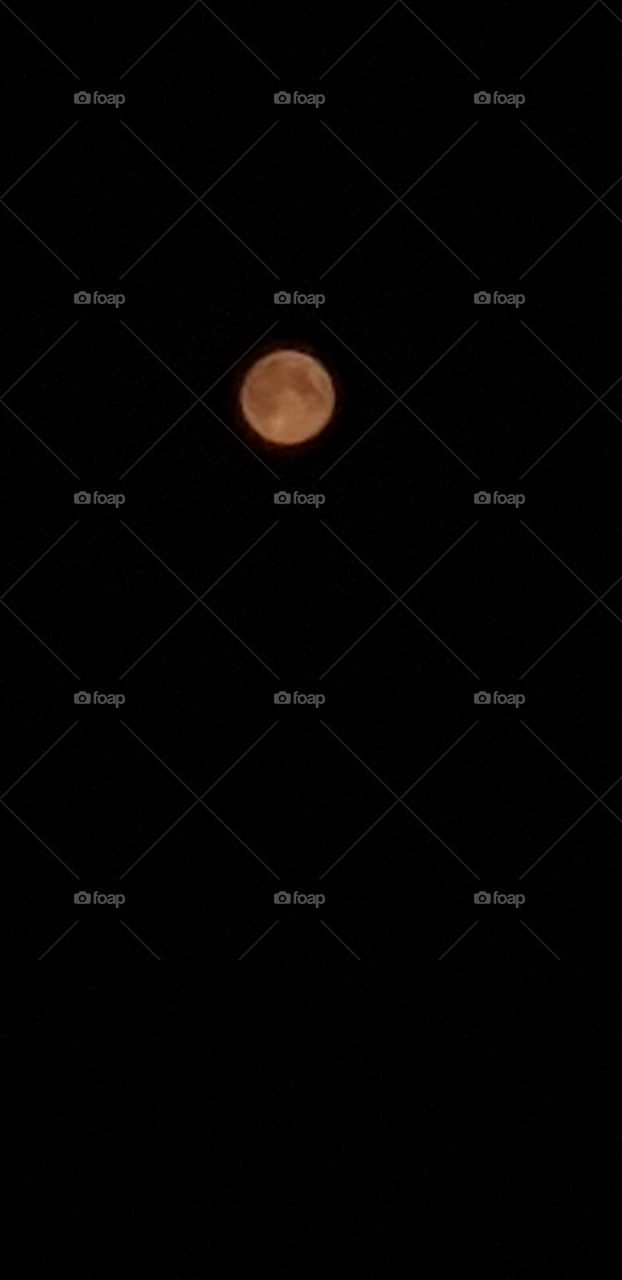 Full Moon Month of May 2019 ( The Red Moon)