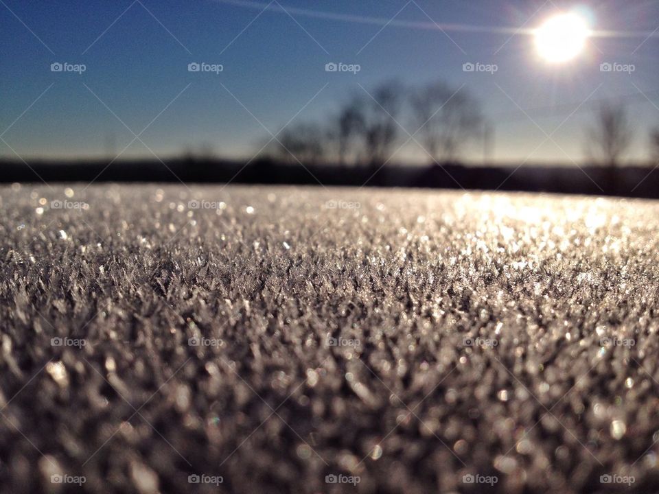 Frost in the morning sun.