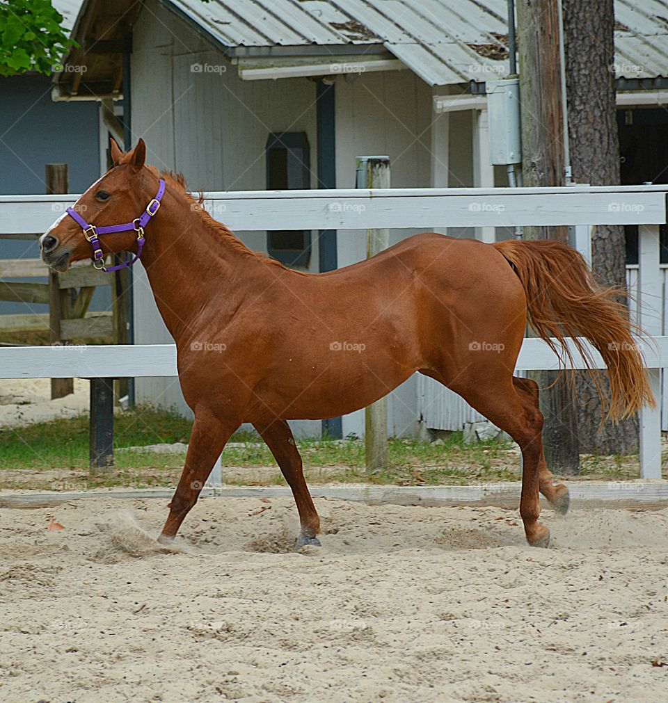 Beautiful stride