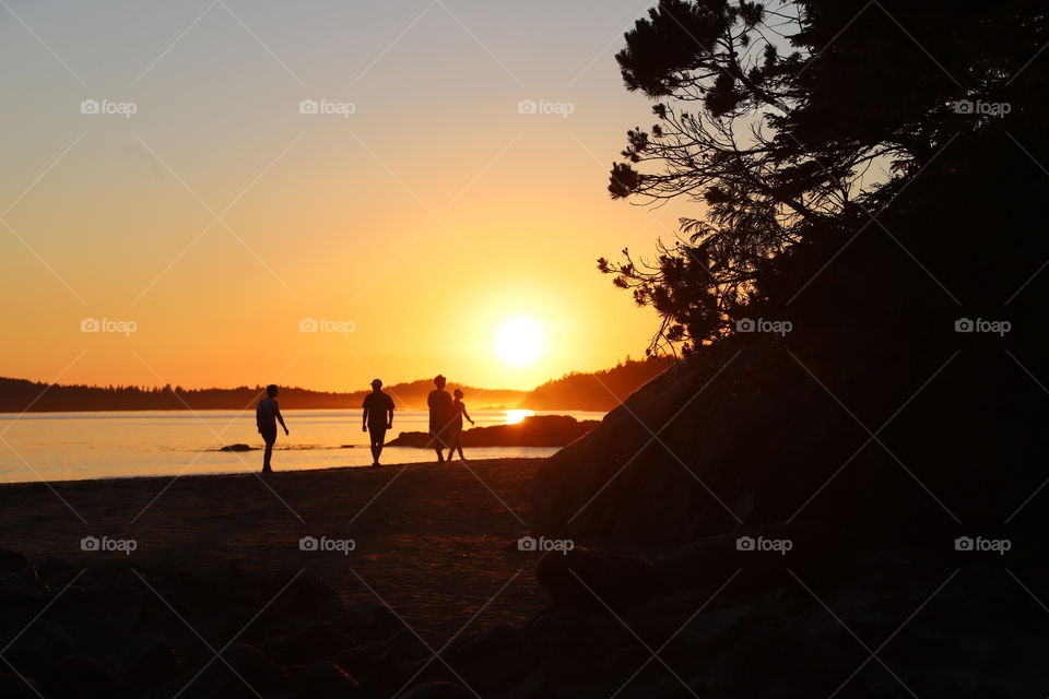 Summer sunset by the ocean 