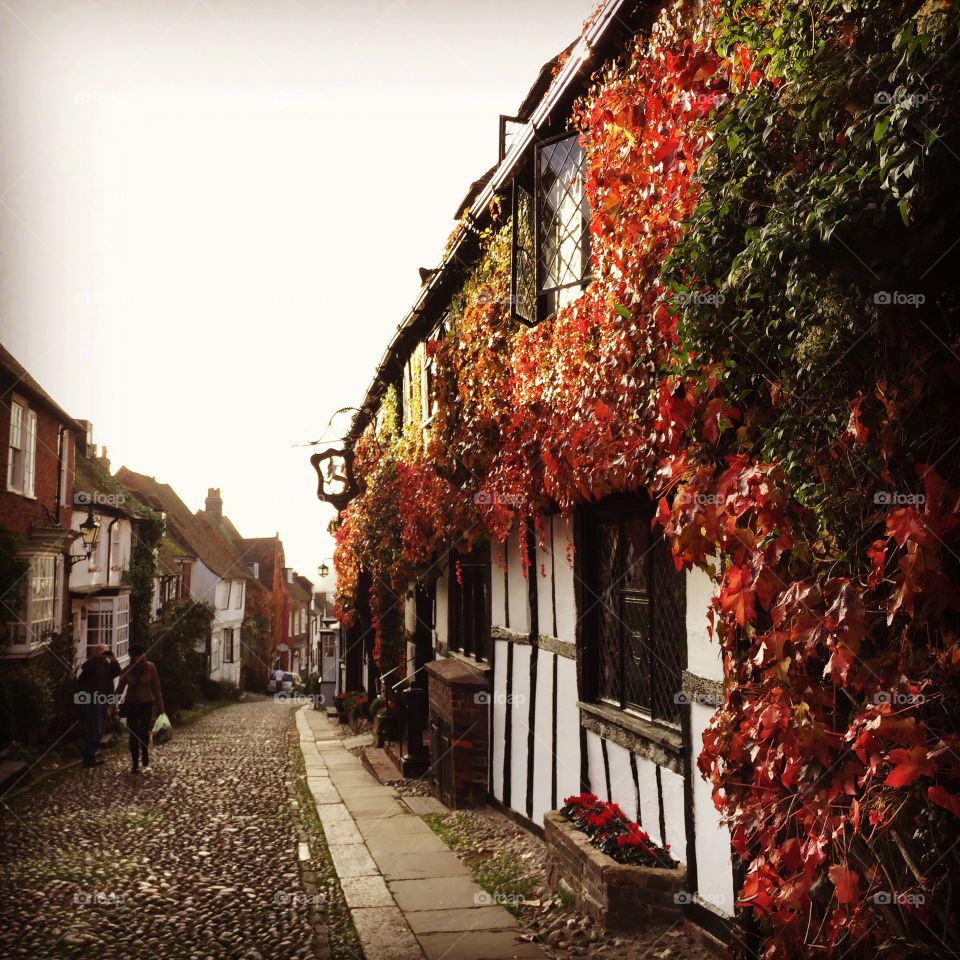 Autumn in Rye. Rye plastered with autumn leaves