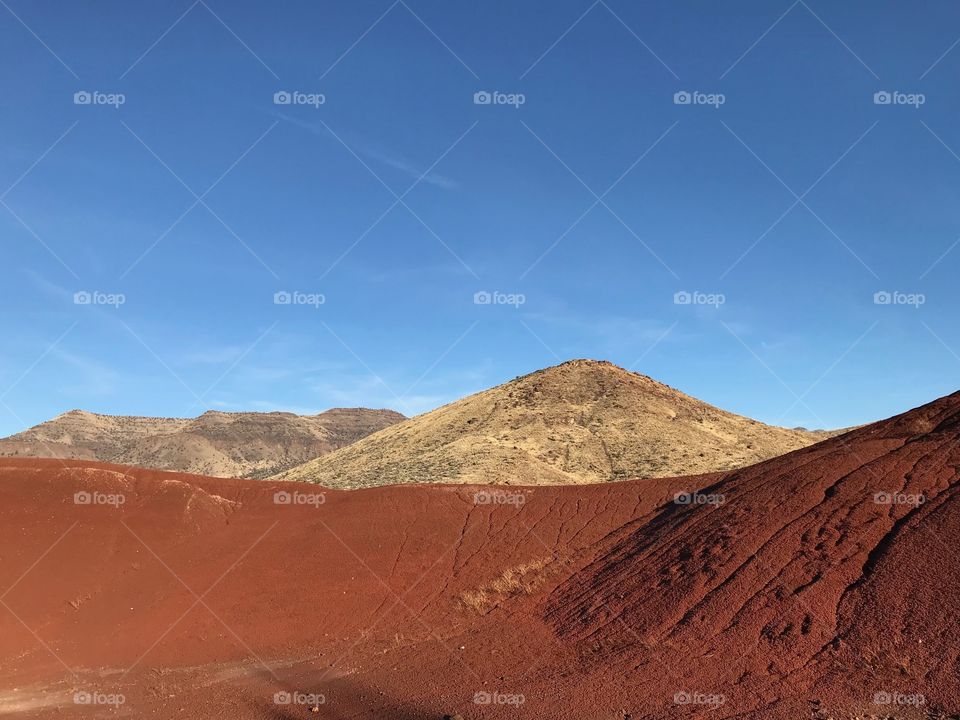 The incredible beauty of the red, gold, and browns of the textured Painted Hills in Eastern Oregon on a bright sunny day.