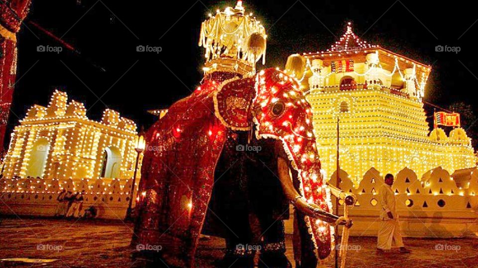 dalada perahara srilanka