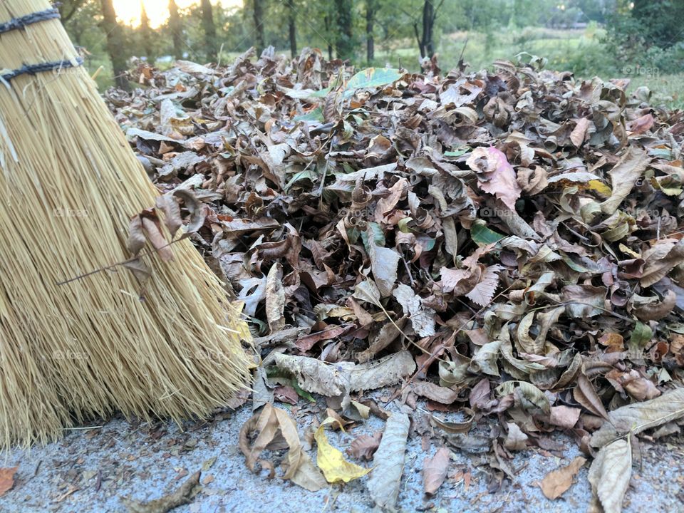 autumn clean up