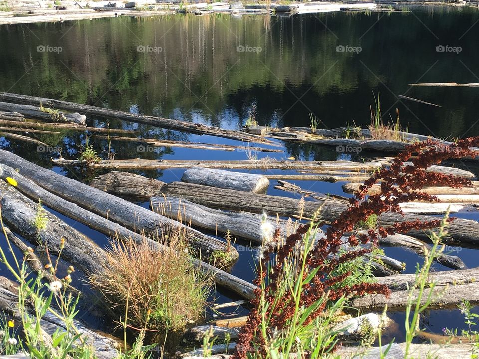 Guemes Island Lagoon 