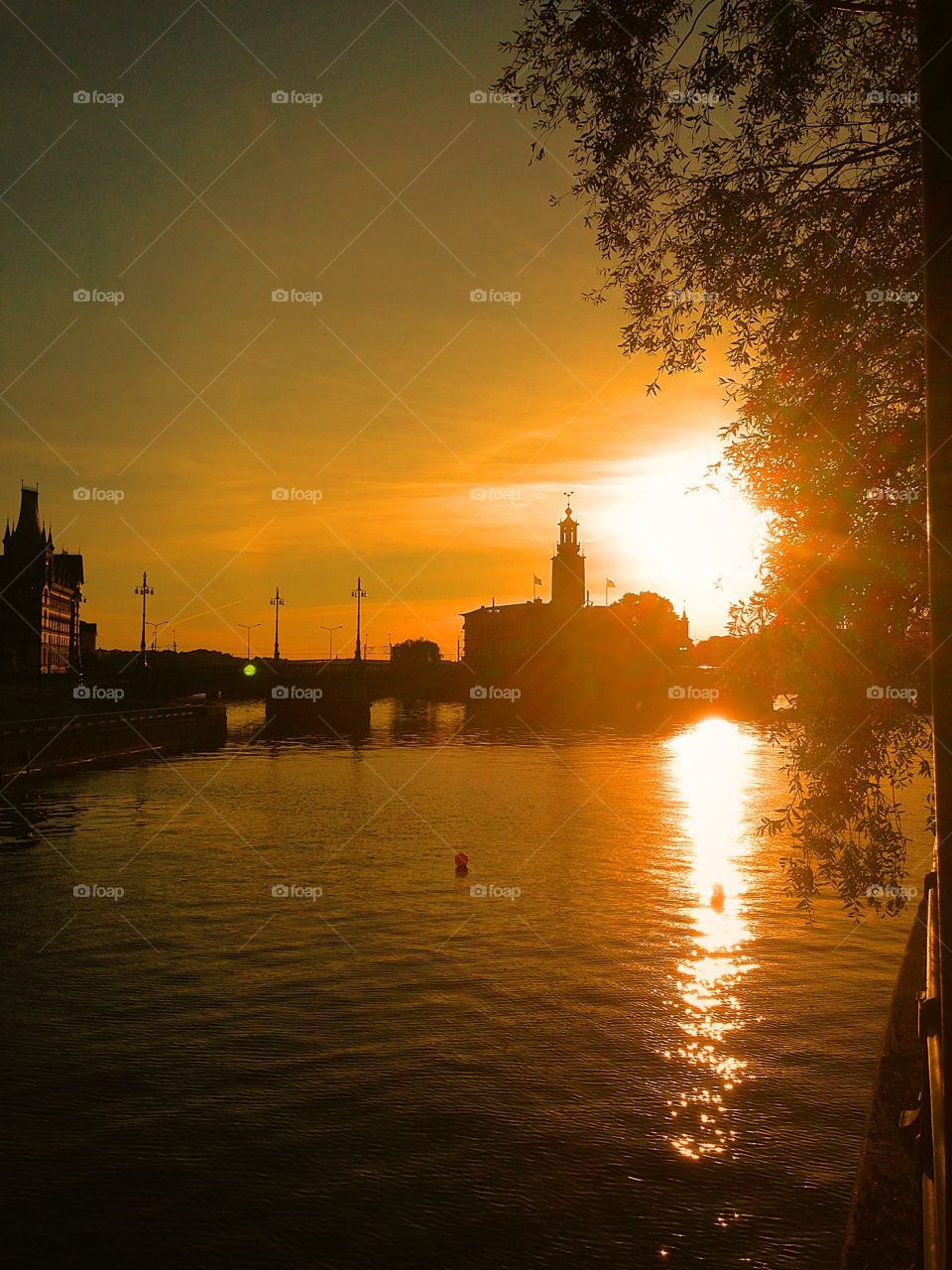 sunset