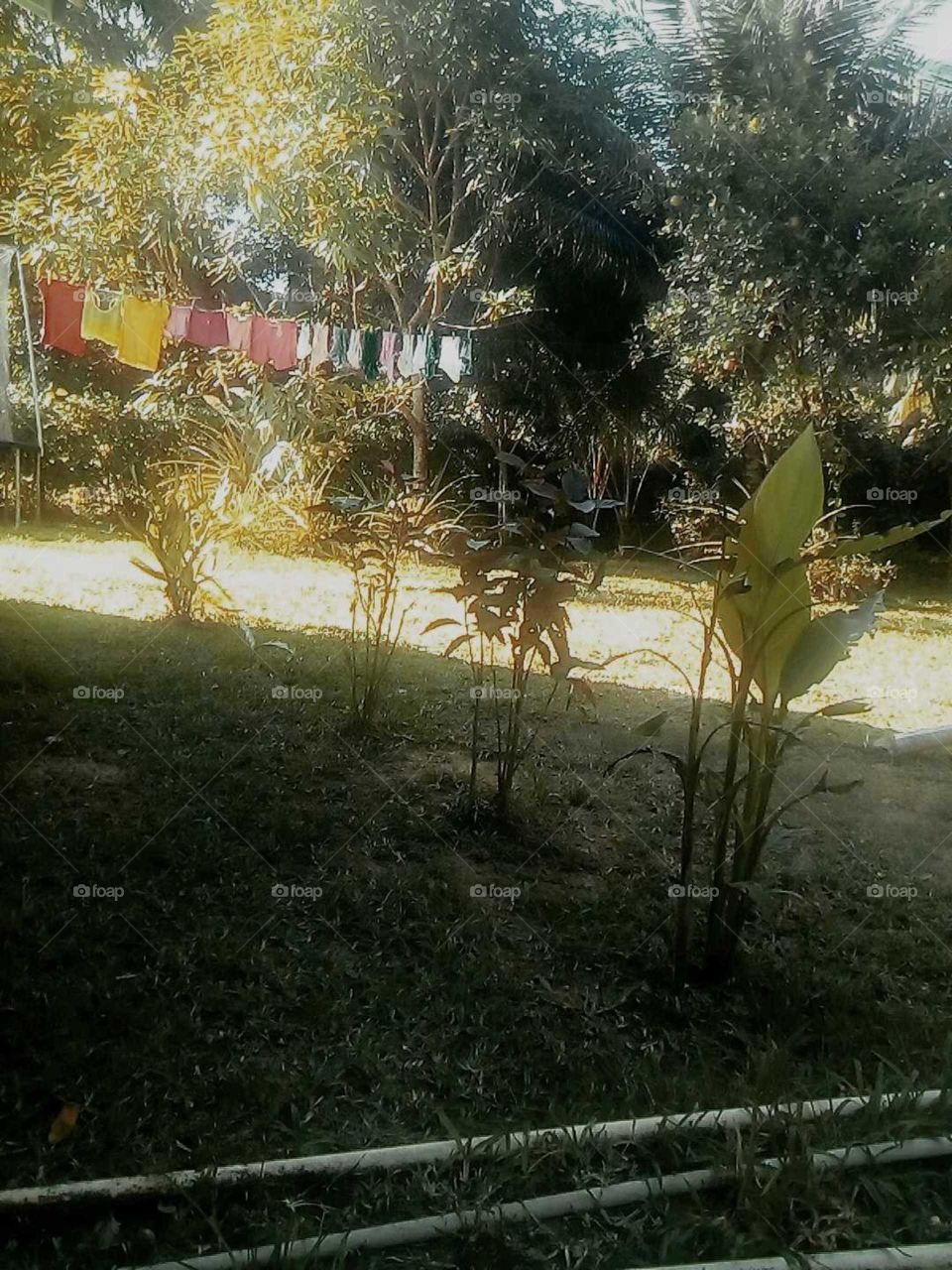 we should all way give  to the most beautiful thing we ever see in our life  an we do see all different kind of things.