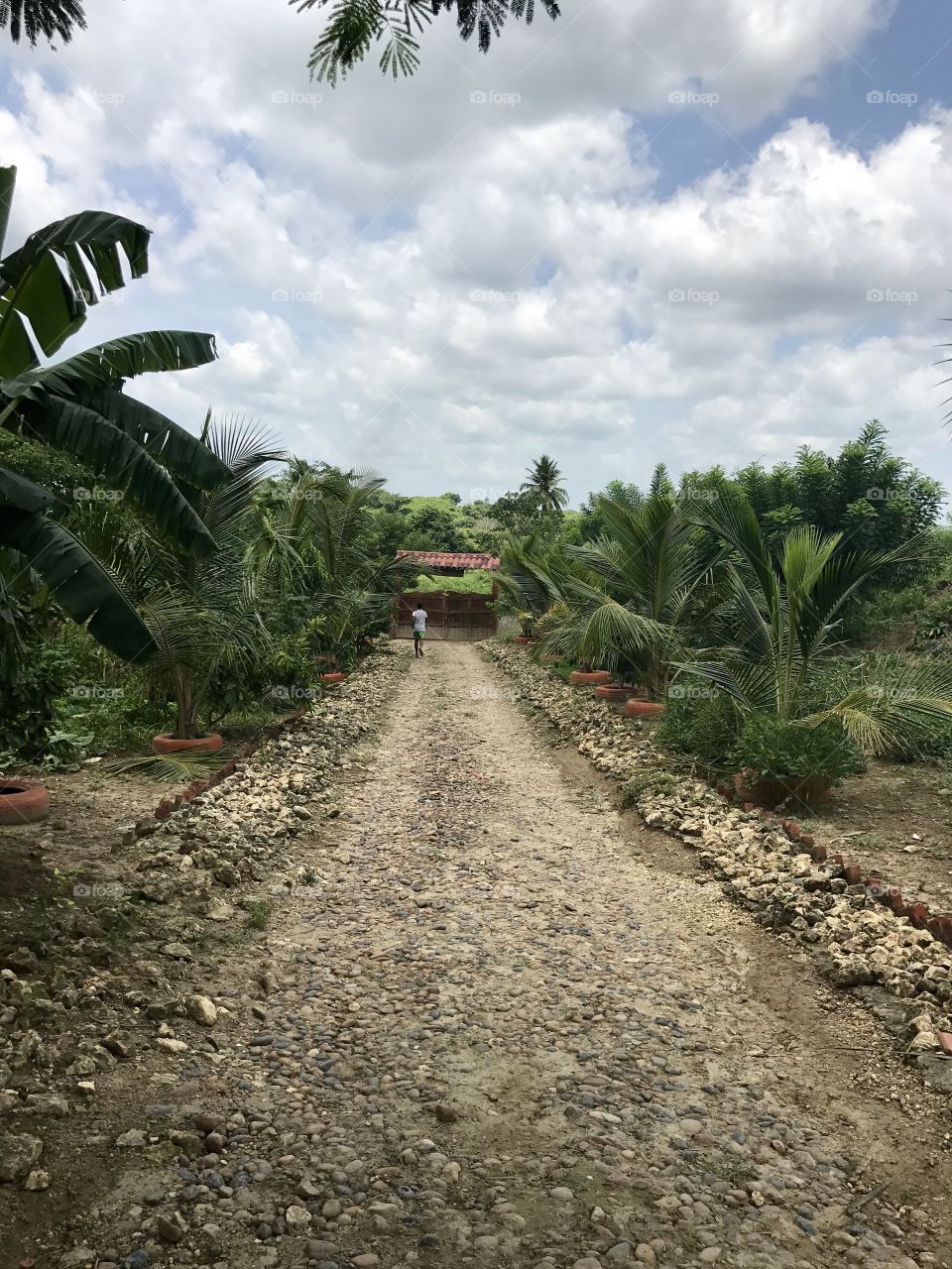 Scenic farm view in Colombia