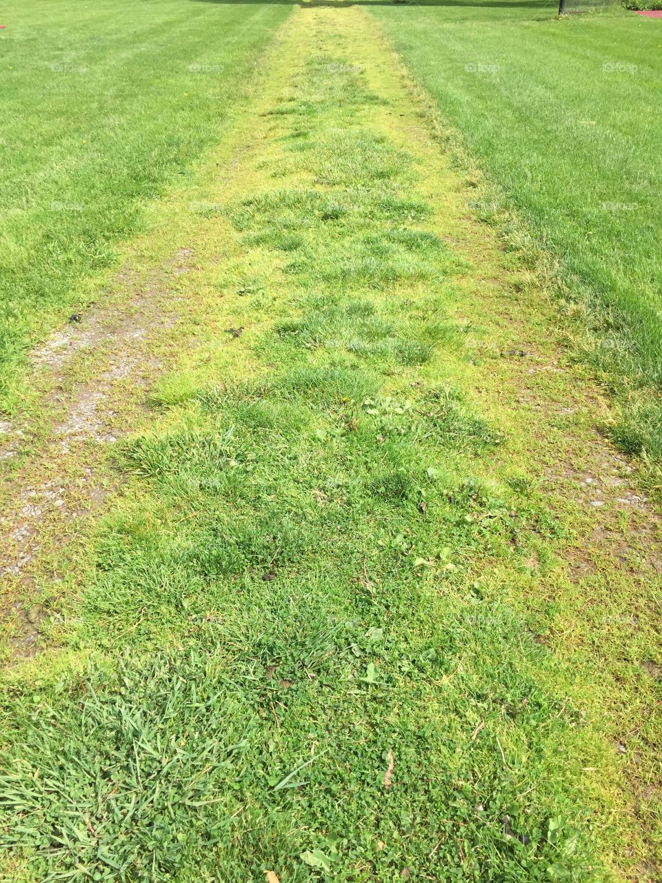 Grassy path