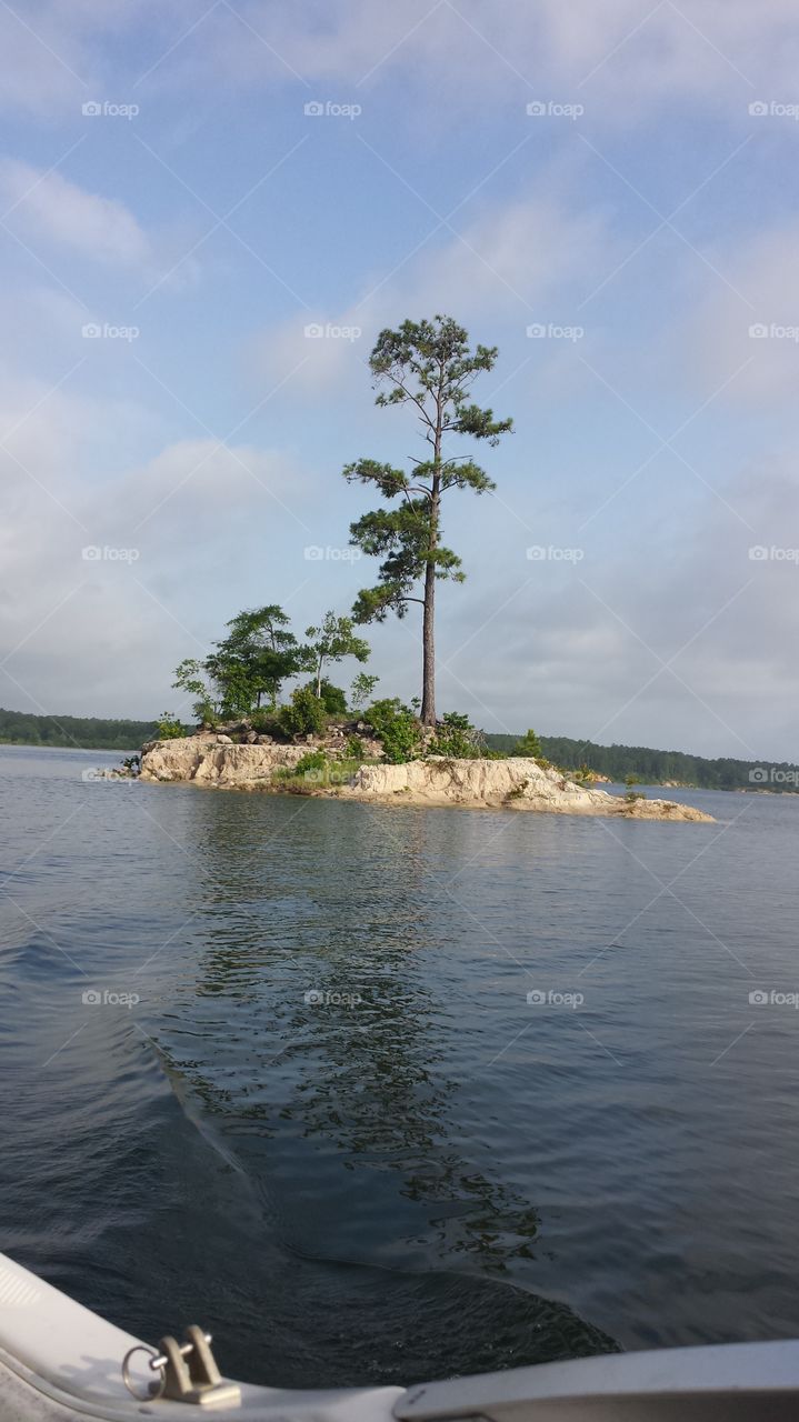 Island on Lake Sam Rayburn