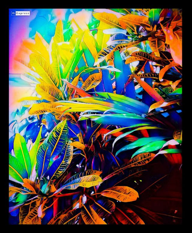 Rainbow of the leaf