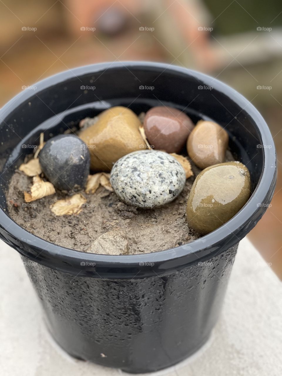 Wet Stones by rain 🌧