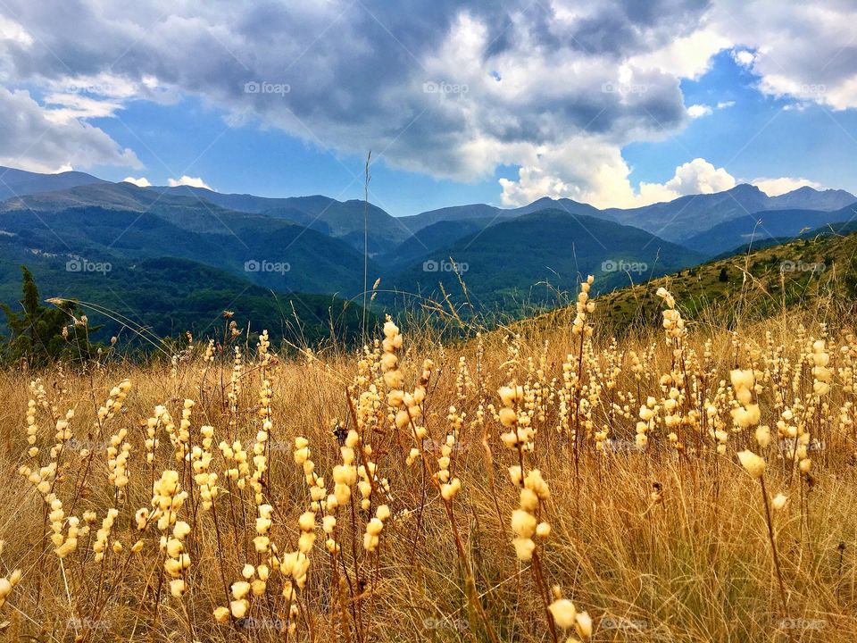 Mountain Scenery on Brezovica 