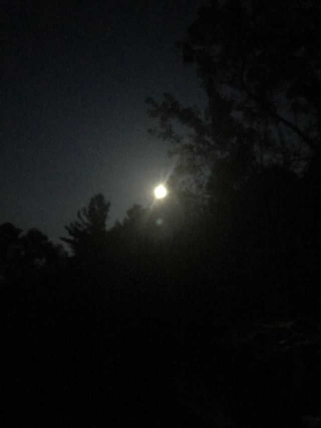 Moon