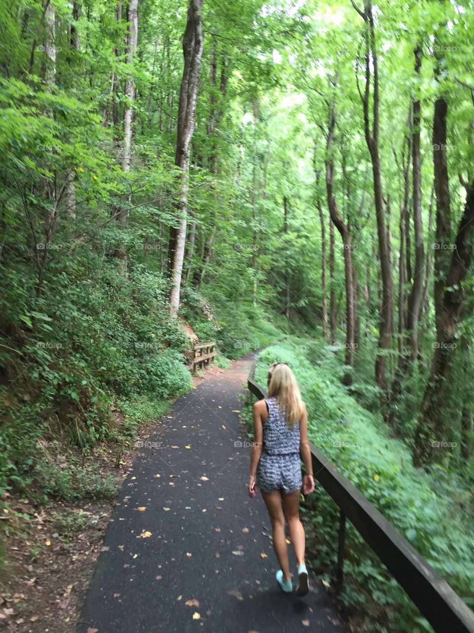 Hiking to the top of Amicalola Falls with my adventure seeker.