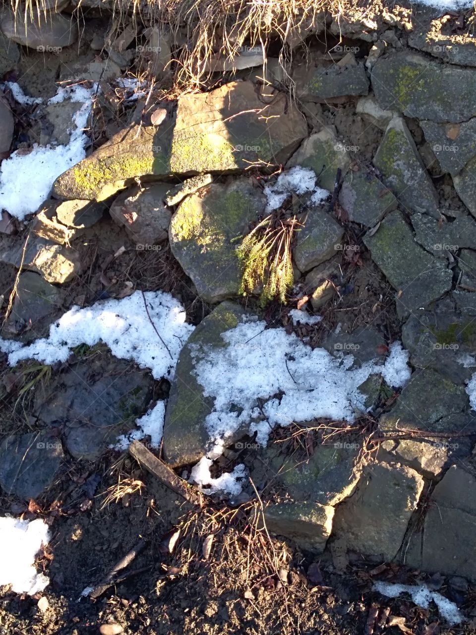 old rocks with moss and lichens