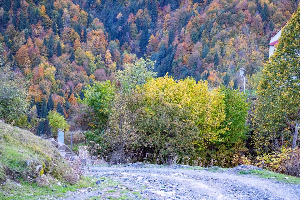 Colorful autumn scene of mountain scape along the way in Georgia 