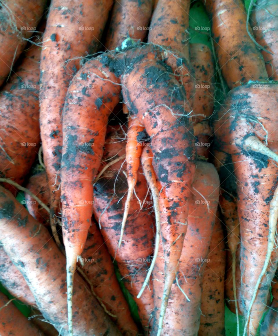 Market, Food, No Person, Desktop, Pattern