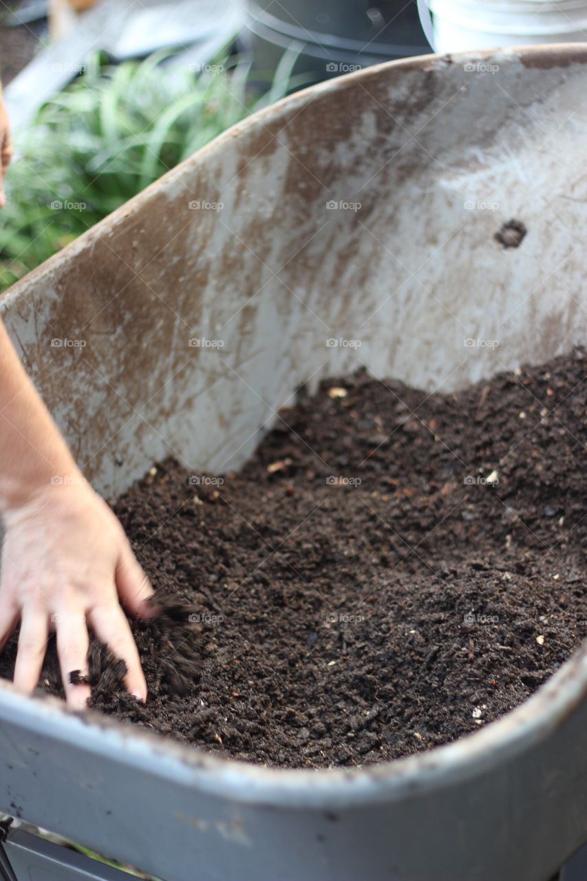 Composted soil
