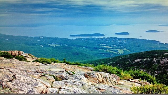 Nature. Acadia National Park