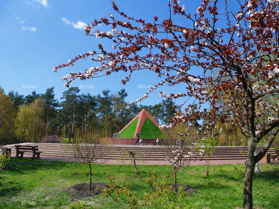 spring in the park Victory of the city of Kiev