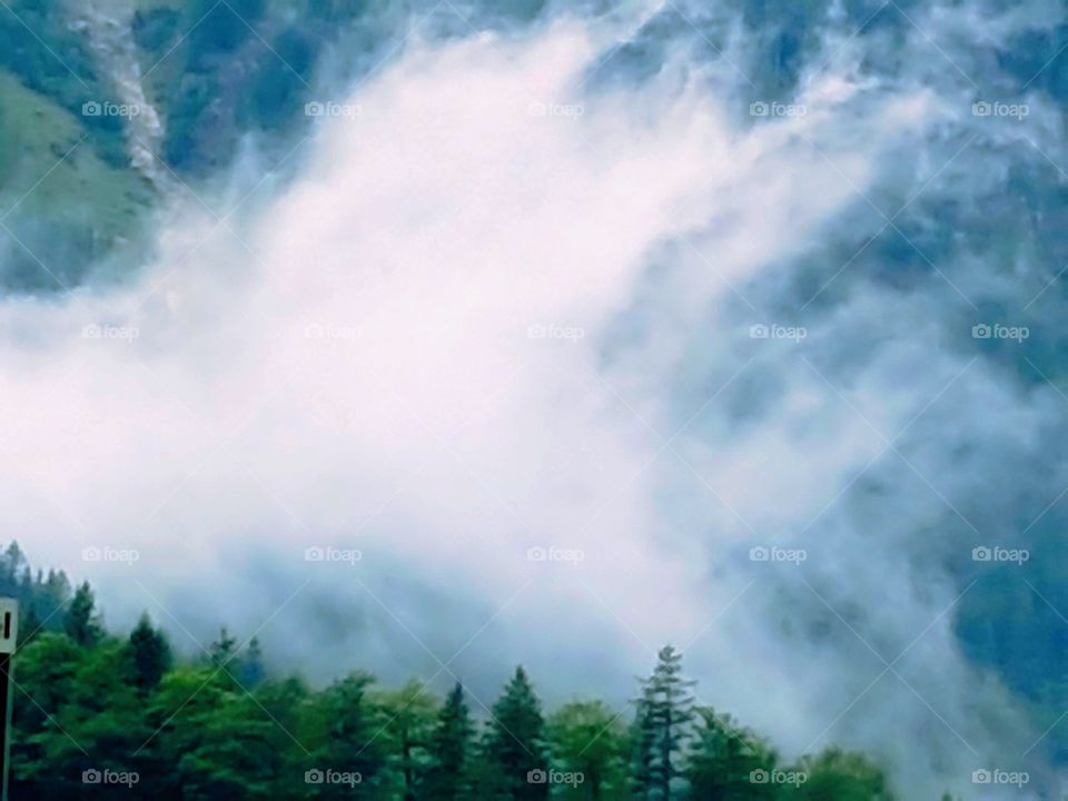 Fog rises over forests and mountains