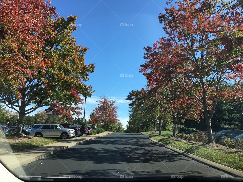 Fall colors in Tennessee