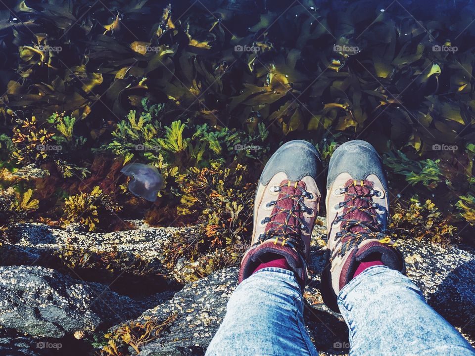 Hiking boots 