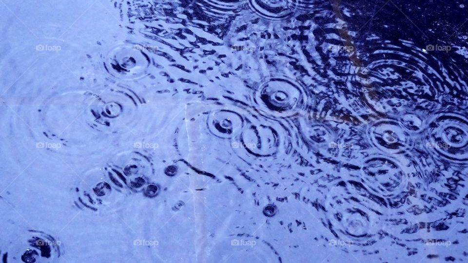 Rain drop ripples on water. Ripples from the rain on water
