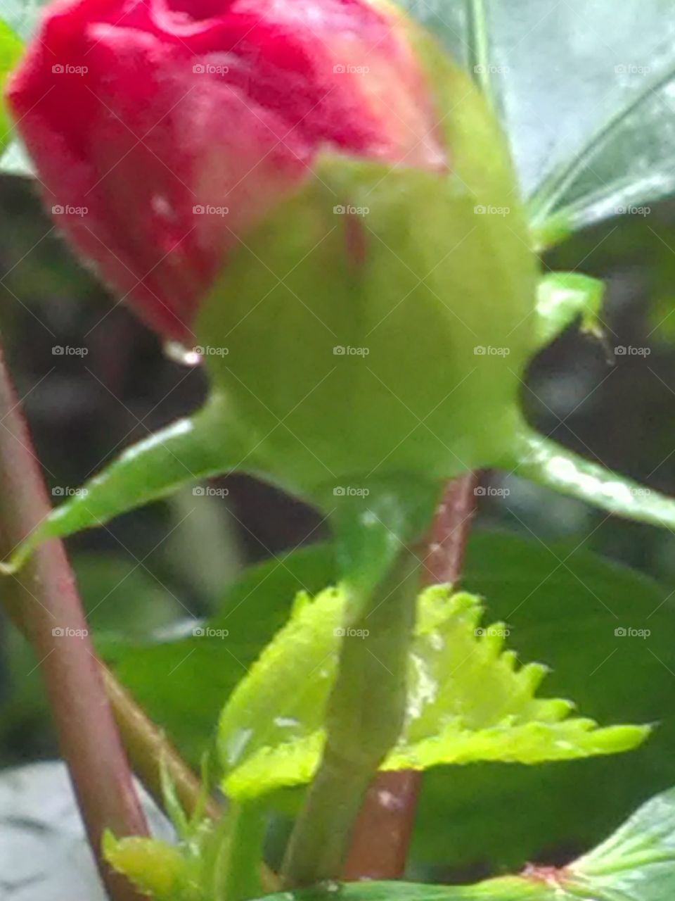 Rain fall on the gully's  on the waters drops.