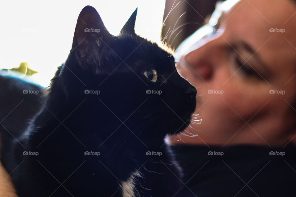 Precious moments with your cat
