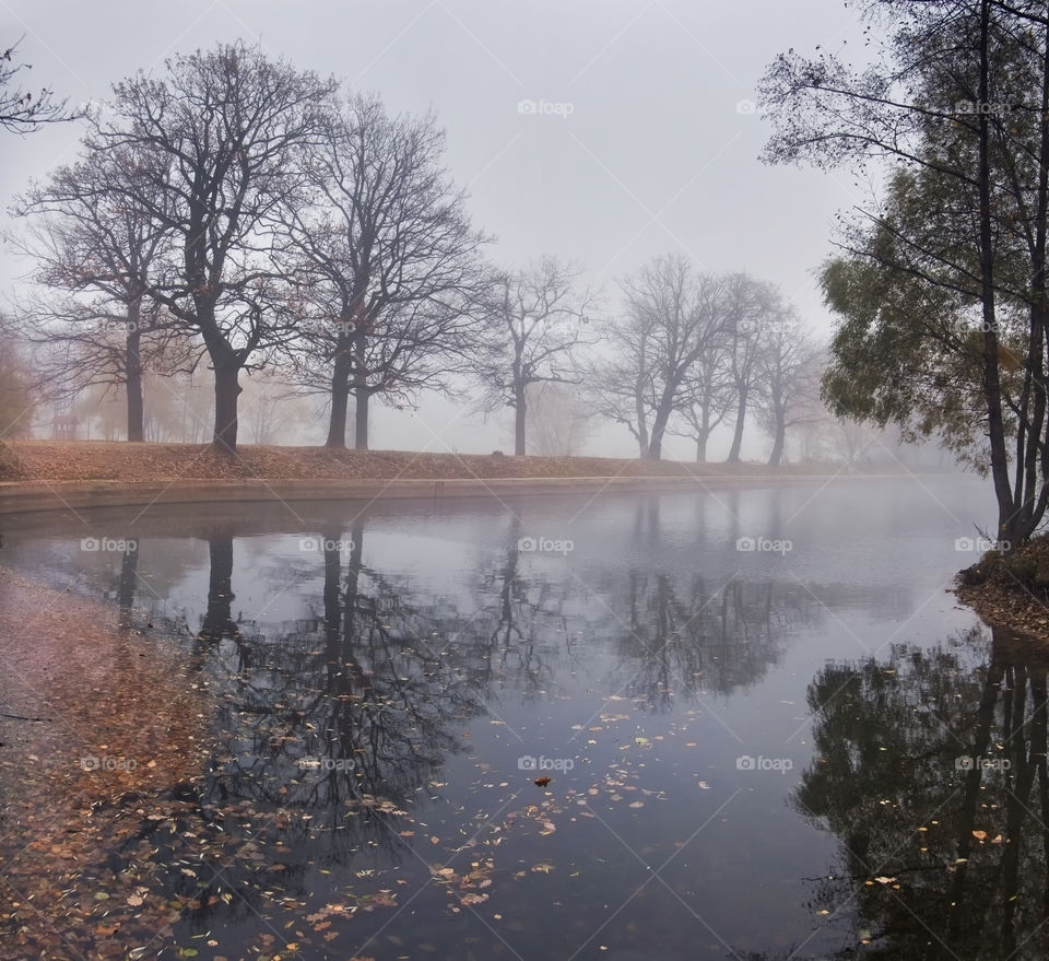 Autumn misty park at early morning 