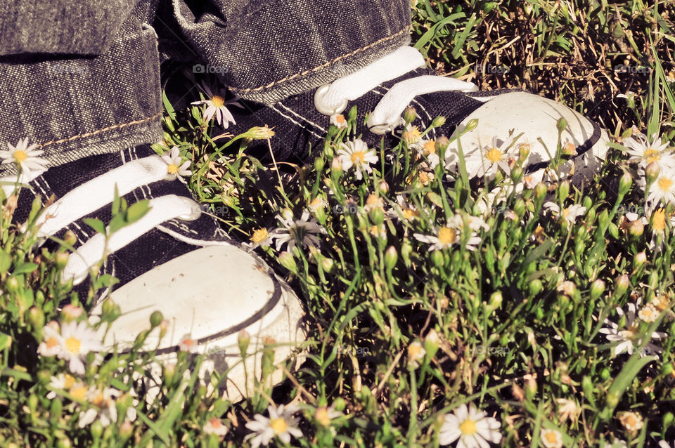 Shoes on Flowers