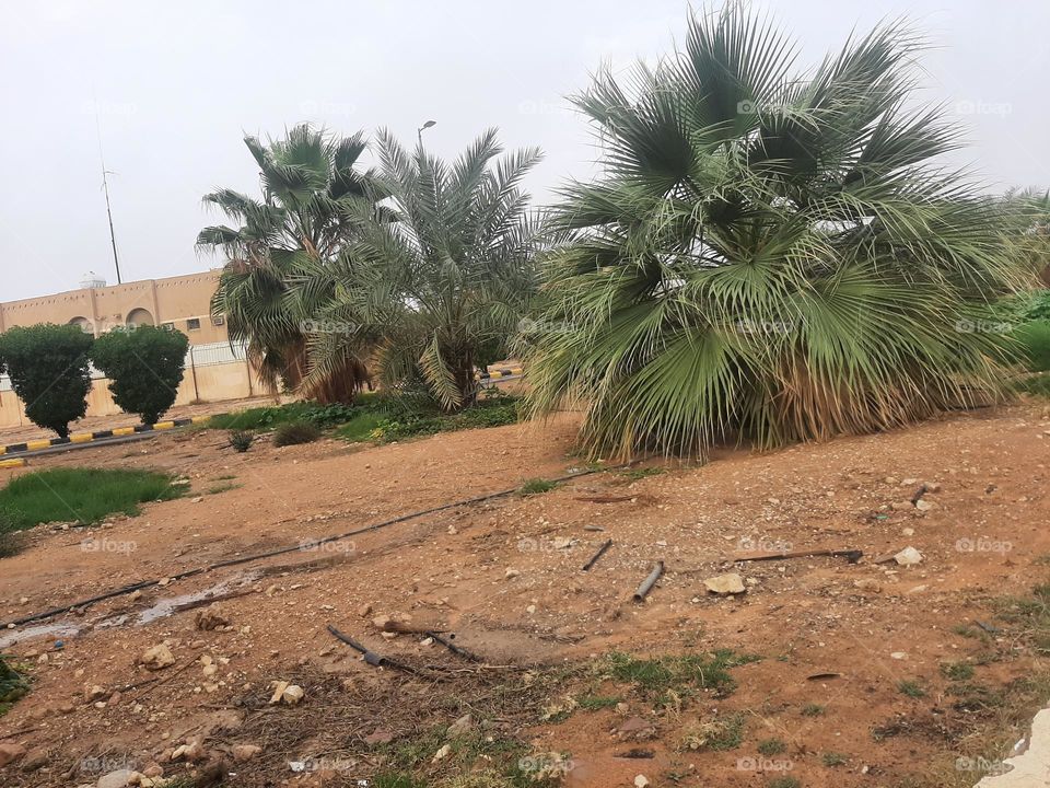 Please help me, I am very poor, I need your supportPlease help me, I am very poor, I need your support and God is in need