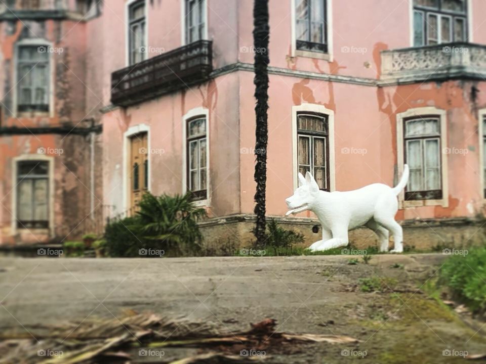 Bizarrely placed large white dog sculpture outside a run down pink Manor House - Leiria - Portugal