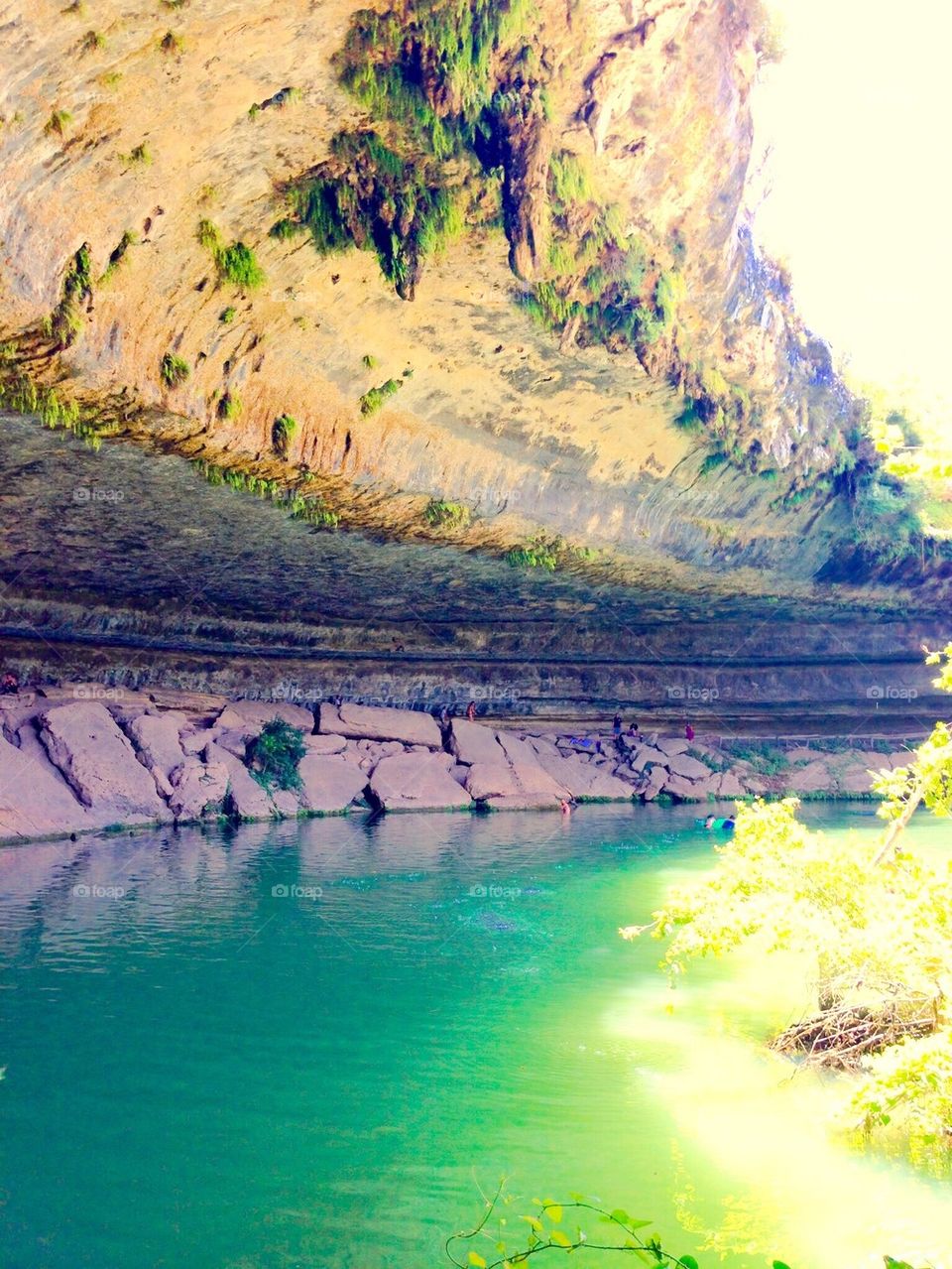 Hamilton pool 