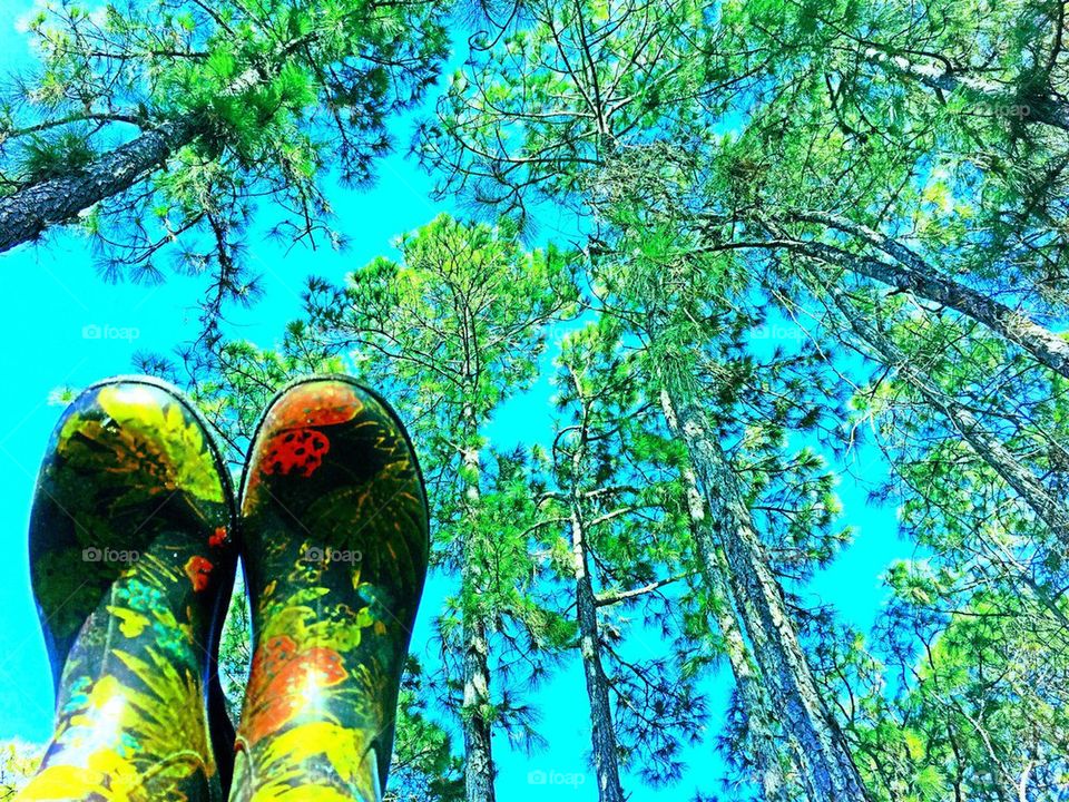 Boots up into the treetops. Boots and trees