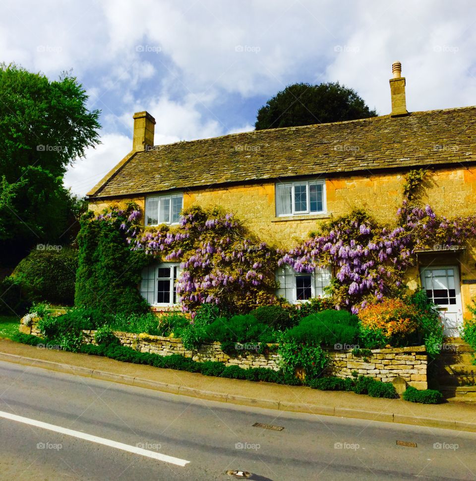 Cottage. Village 