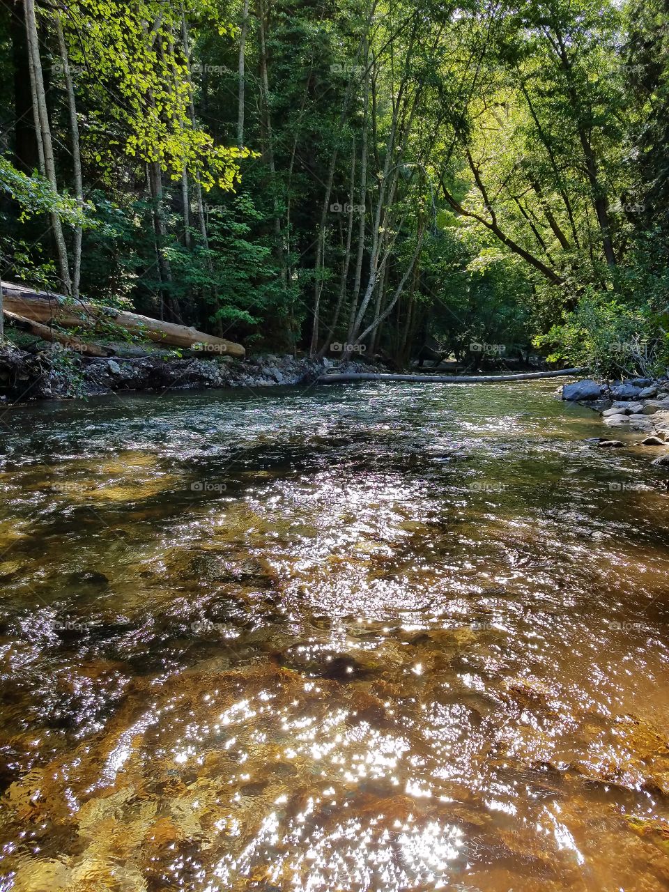 Big Sur river