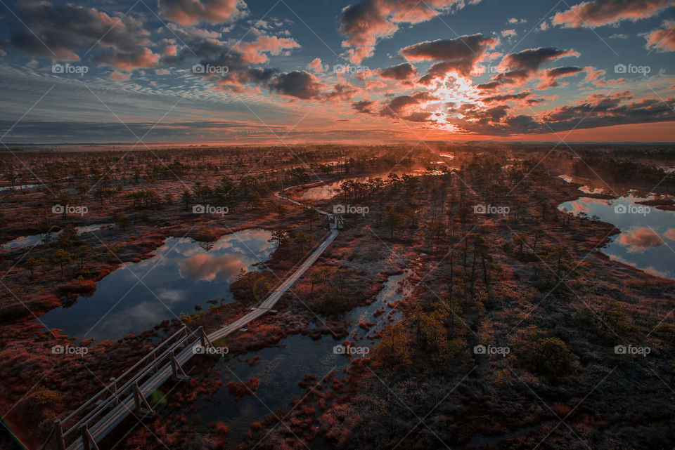 Misty morning sunrise landscape in Kemeri,Latvia