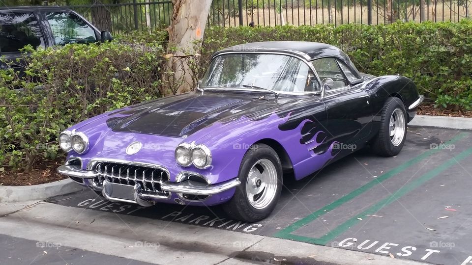 Corvette 