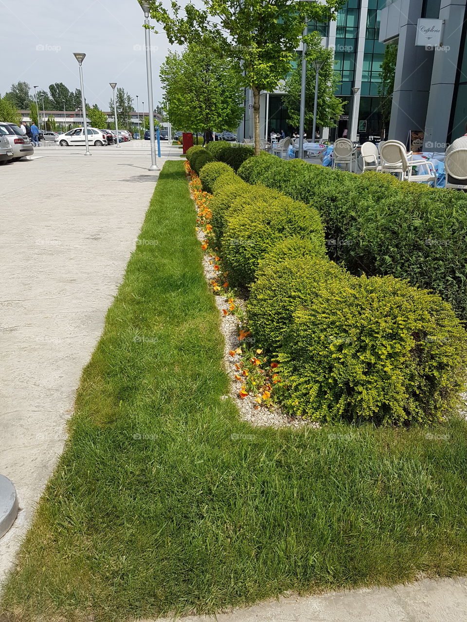 green grass and flowers in the airport city belgrade, serbia