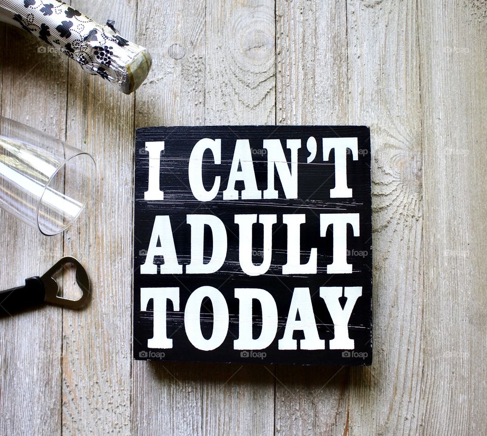 I Can’t Adult Today