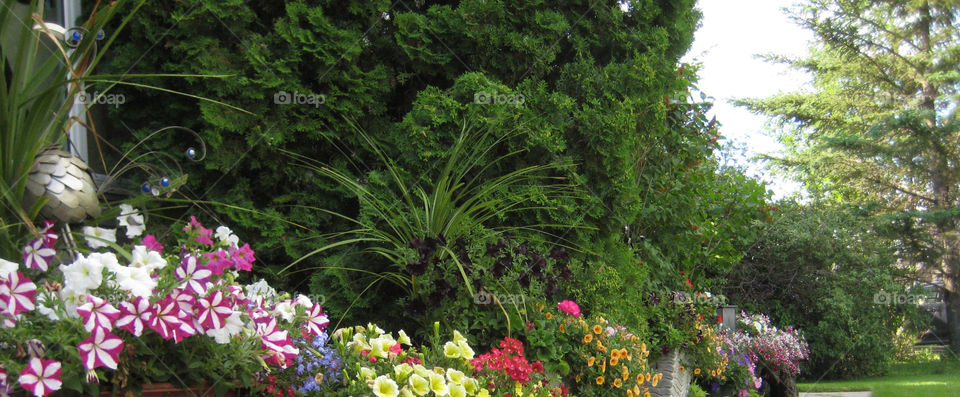 Border for moms sidewalk