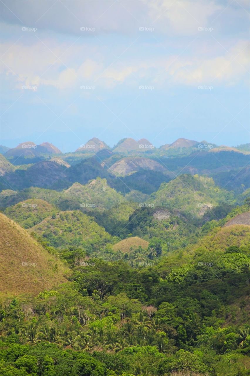 Chocolate hills