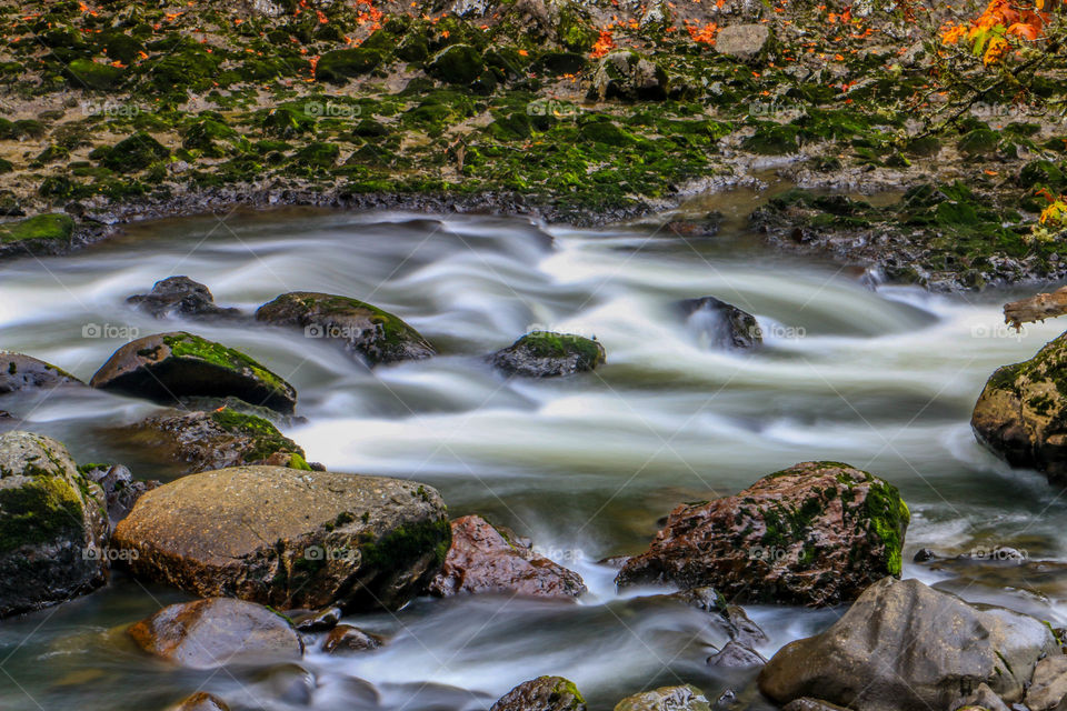 Snoqualmie River. Snoqualmie River in beautiful Washington State