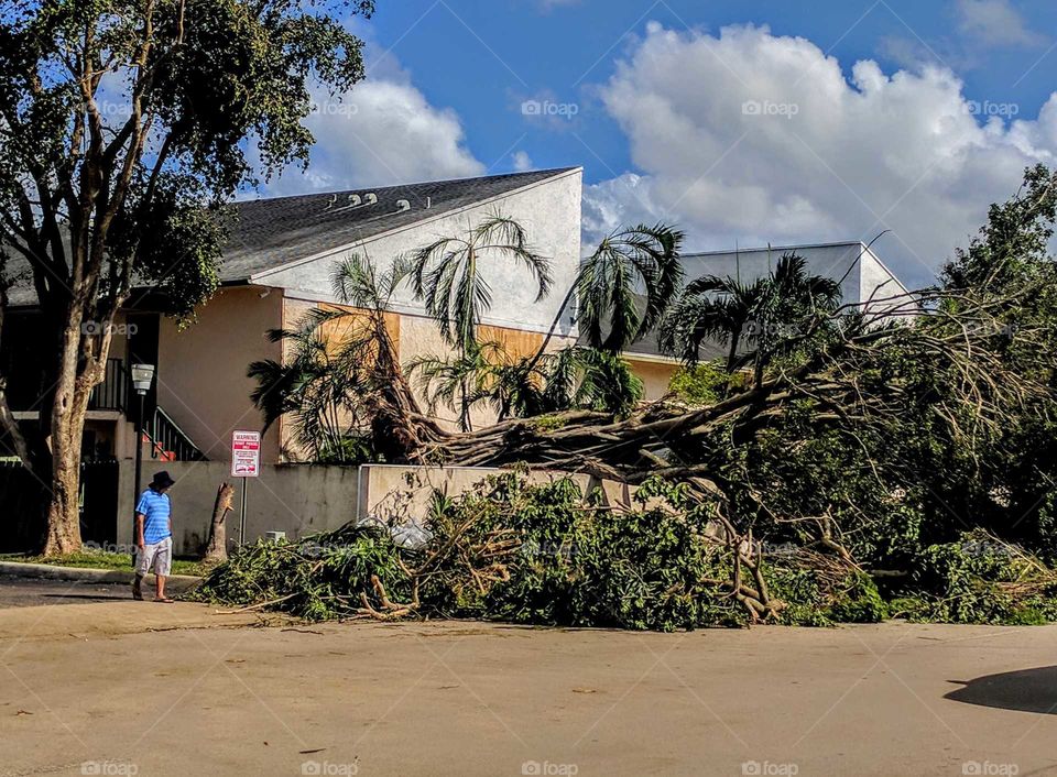 hurricane Irma south Florida
