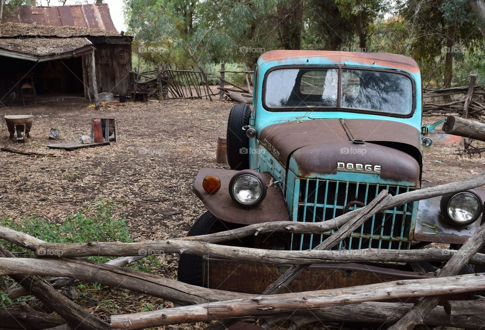 An old homestead with a Dodge truck from another era that is rusting and becoming part of the earth